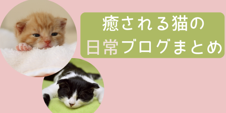 ていねいなくらし